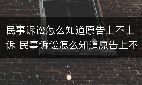 民事诉讼怎么知道原告上不上诉 民事诉讼怎么知道原告上不上诉庭