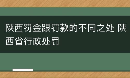 陕西罚金跟罚款的不同之处 陕西省行政处罚