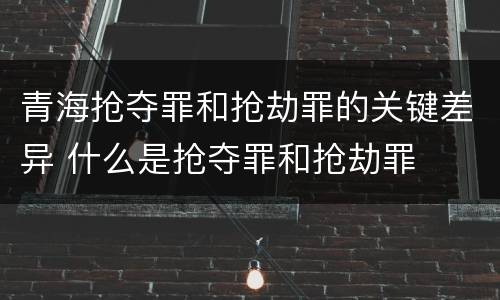 青海抢夺罪和抢劫罪的关键差异 什么是抢夺罪和抢劫罪