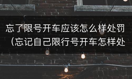 忘了限号开车应该怎么样处罚（忘记自己限行号开车怎样处罚）