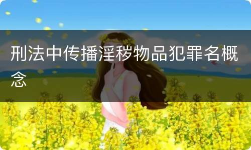 刑法中传播淫秽物品犯罪名概念