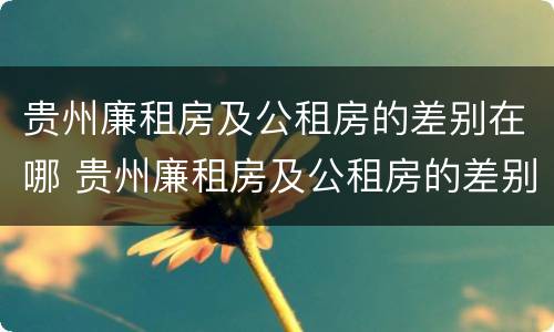 贵州廉租房及公租房的差别在哪 贵州廉租房及公租房的差别在哪查