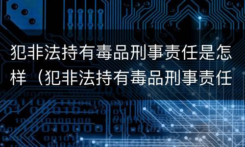 犯非法持有毒品刑事责任是怎样（犯非法持有毒品刑事责任是怎样的）