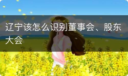 辽宁该怎么识别董事会、股东大会