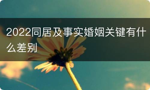 2022同居及事实婚姻关键有什么差别