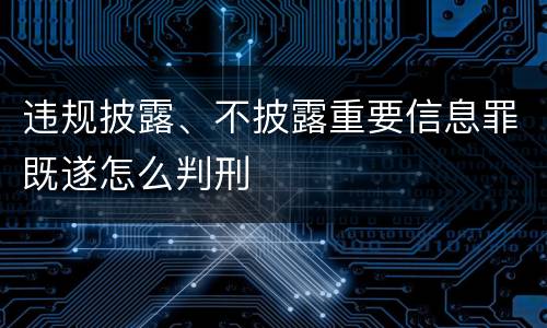 违规披露、不披露重要信息罪既遂怎么判刑
