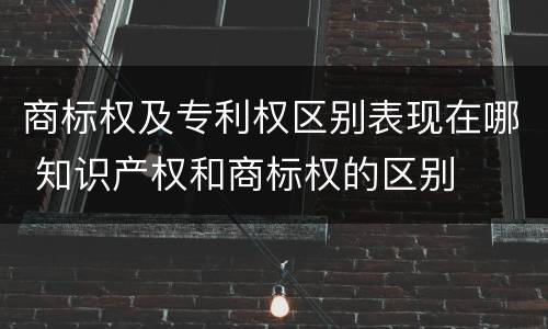 商标权及专利权区别表现在哪 知识产权和商标权的区别