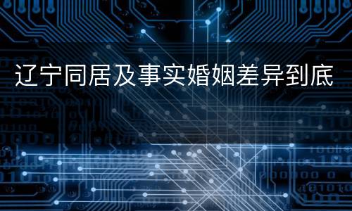 辽宁同居及事实婚姻差异到底