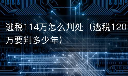 逃税114万怎么判处（逃税120万要判多少年）