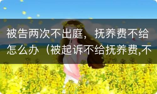 被告两次不出庭，抚养费不给怎么办（被起诉不给抚养费,不出庭会怎样?）