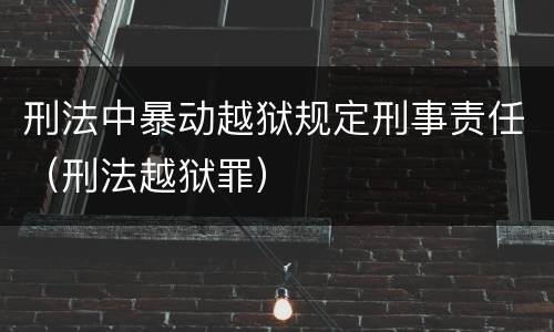 刑法中暴动越狱规定刑事责任（刑法越狱罪）