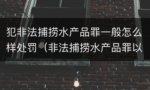 犯非法捕捞水产品罪一般怎么样处罚（非法捕捞水产品罪以后有什么）