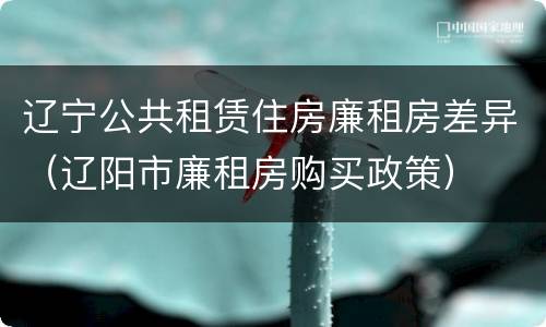 辽宁公共租赁住房廉租房差异（辽阳市廉租房购买政策）