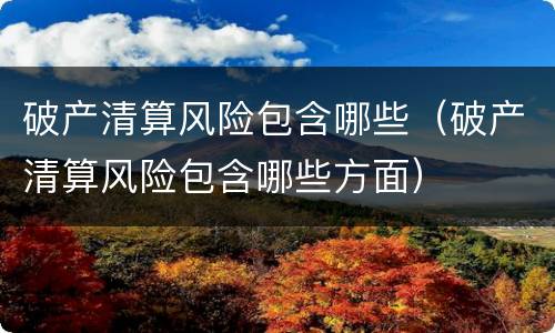 破产清算风险包含哪些（破产清算风险包含哪些方面）
