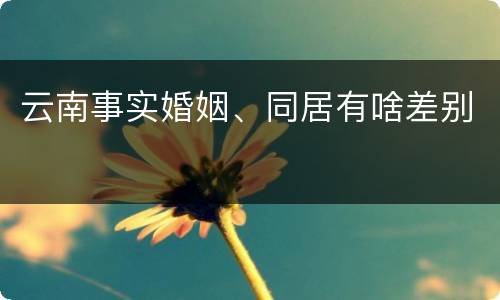 云南事实婚姻、同居有啥差别