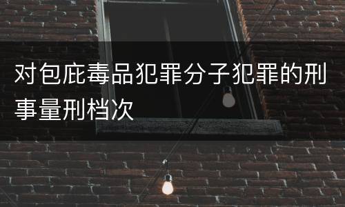 对包庇毒品犯罪分子犯罪的刑事量刑档次