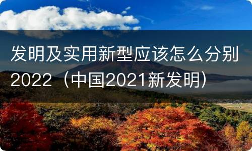 发明及实用新型应该怎么分别2022（中国2021新发明）