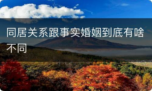 同居关系跟事实婚姻到底有啥不同