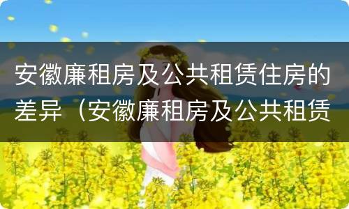 安徽廉租房及公共租赁住房的差异（安徽廉租房及公共租赁住房的差异分析）