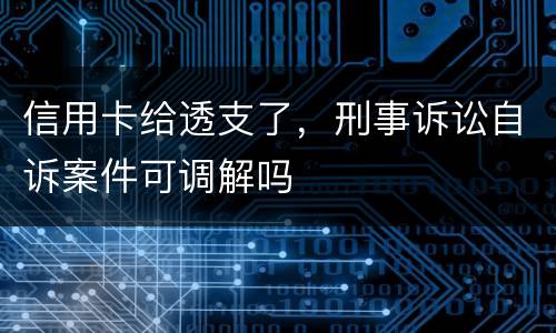 信用卡给透支了，刑事诉讼自诉案件可调解吗