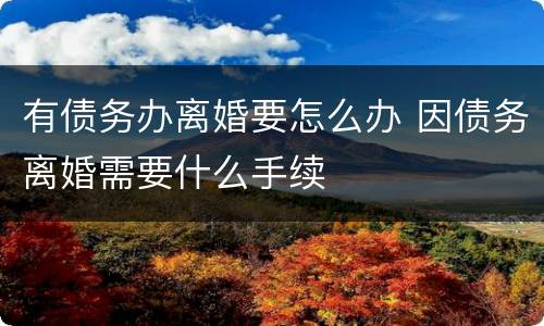 有债务办离婚要怎么办 因债务离婚需要什么手续