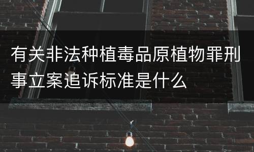 有关非法种植毒品原植物罪刑事立案追诉标准是什么