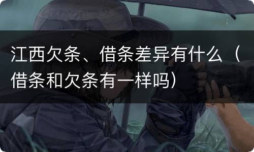 江西欠条、借条差异有什么（借条和欠条有一样吗）