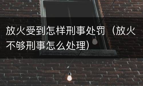 放火受到怎样刑事处罚（放火不够刑事怎么处理）