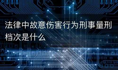 法律中故意伤害行为刑事量刑档次是什么