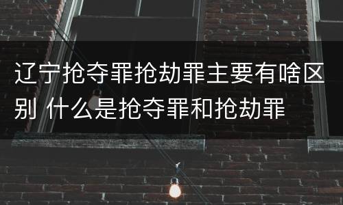 辽宁抢夺罪抢劫罪主要有啥区别 什么是抢夺罪和抢劫罪