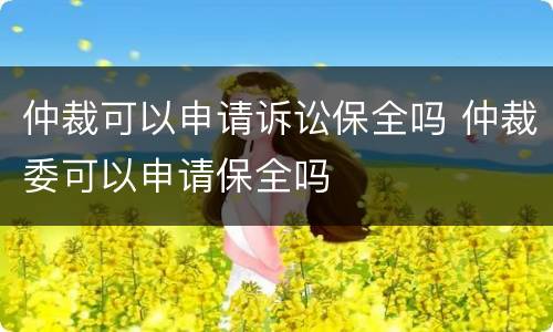 仲裁可以申请诉讼保全吗 仲裁委可以申请保全吗