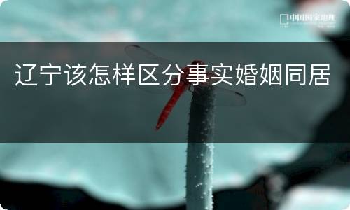 辽宁该怎样区分事实婚姻同居