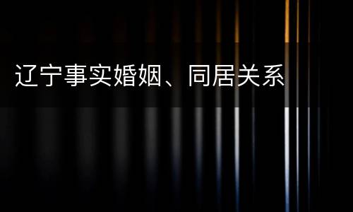 辽宁事实婚姻、同居关系