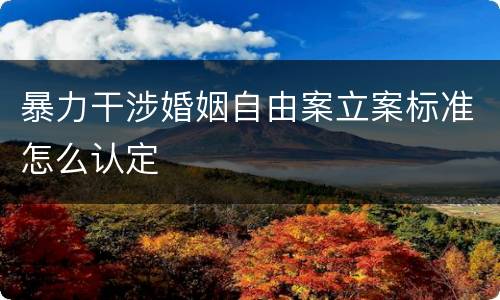 暴力干涉婚姻自由案立案标准怎么认定