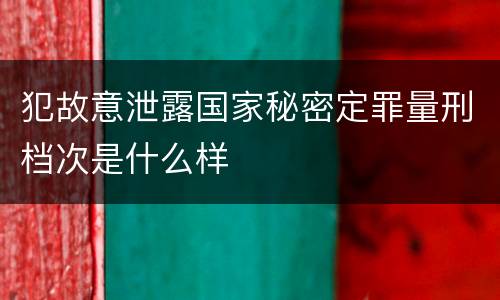 犯故意泄露国家秘密定罪量刑档次是什么样