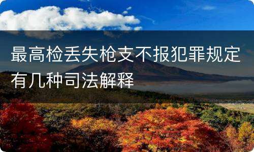 最高检丢失枪支不报犯罪规定有几种司法解释