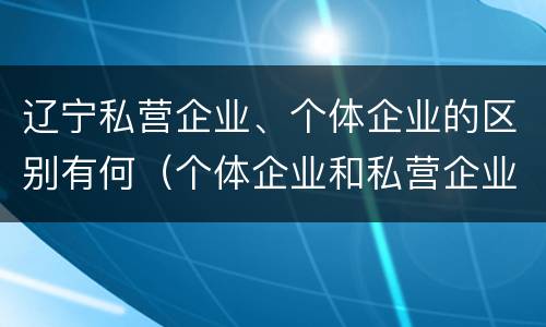 辽宁私营企业、个体企业的区别有何（个体企业和私营企业的区别）