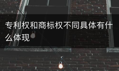 专利权和商标权不同具体有什么体现