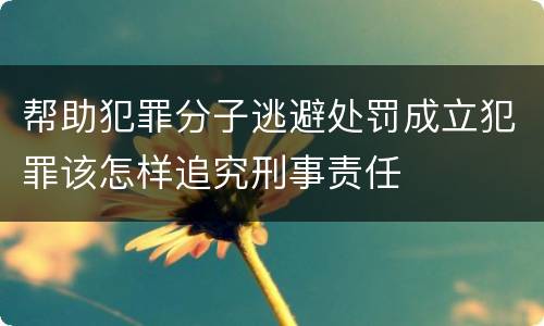 帮助犯罪分子逃避处罚成立犯罪该怎样追究刑事责任
