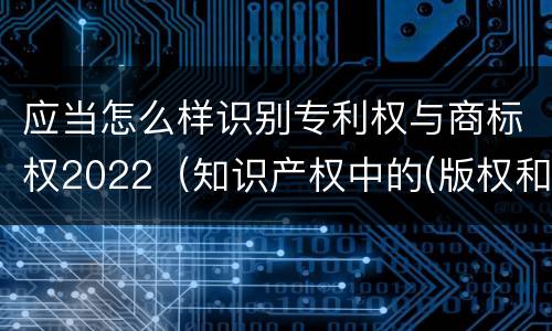 应当怎么样识别专利权与商标权2022（知识产权中的(版权和商标权与标准）