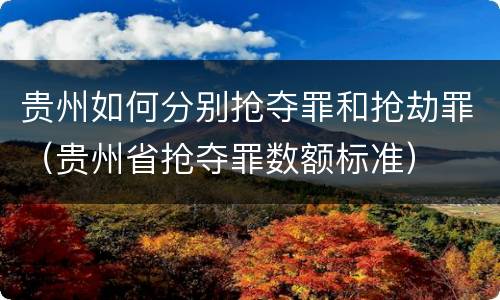 贵州如何分别抢夺罪和抢劫罪（贵州省抢夺罪数额标准）