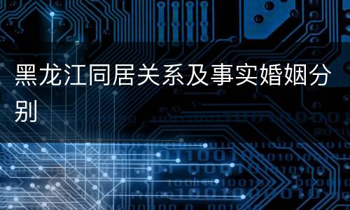 黑龙江同居关系及事实婚姻分别