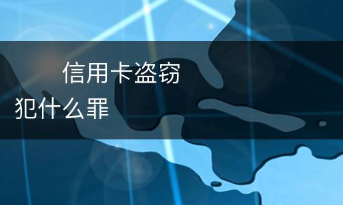 　　信用卡盗窃犯什么罪