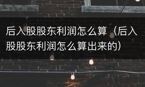 后入股股东利润怎么算（后入股股东利润怎么算出来的）