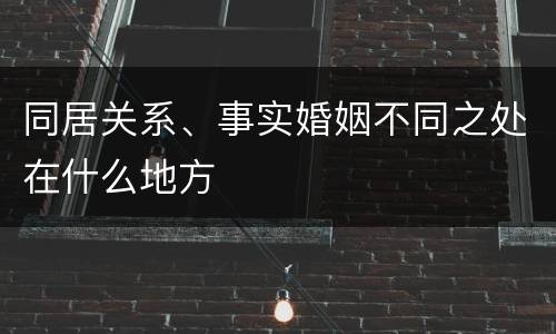 同居关系、事实婚姻不同之处在什么地方
