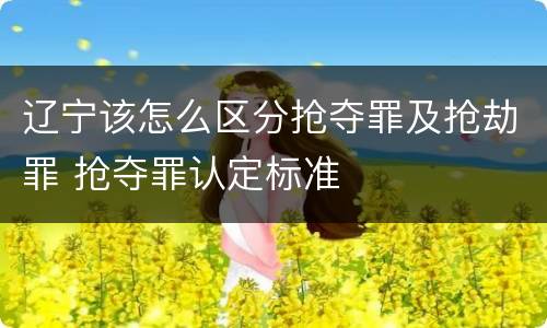 辽宁该怎么区分抢夺罪及抢劫罪 抢夺罪认定标准
