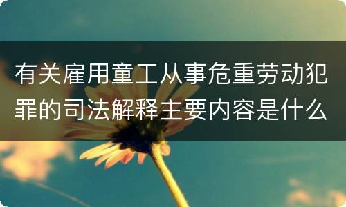 有关雇用童工从事危重劳动犯罪的司法解释主要内容是什么