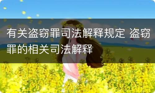 有关盗窃罪司法解释规定 盗窃罪的相关司法解释