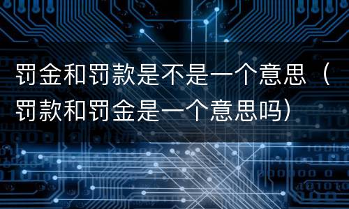 罚金和罚款是不是一个意思（罚款和罚金是一个意思吗）