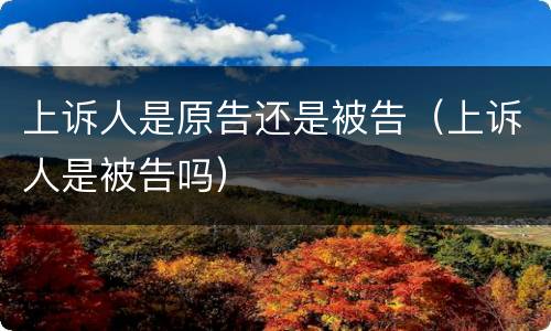 上诉人是原告还是被告（上诉人是被告吗）